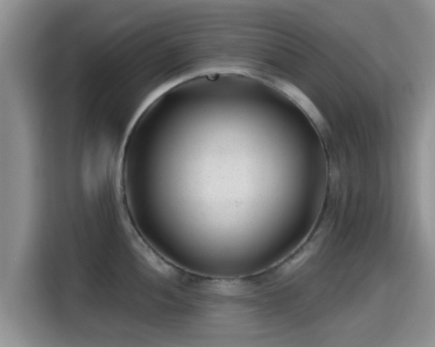 X0000115291052200911090948