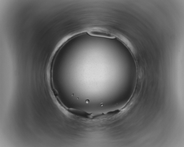 X0000115291054200911090948