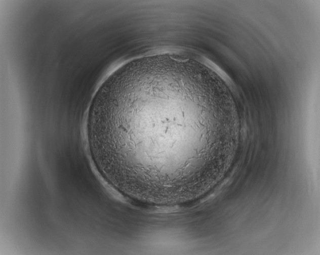 X0000115291055200911090948