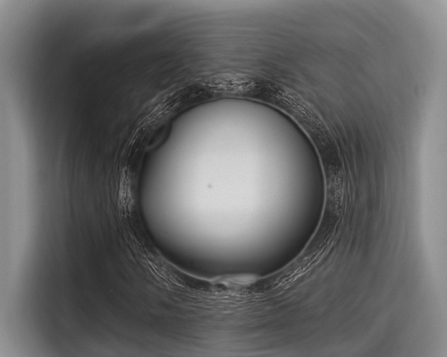 X0000115291058200911090947