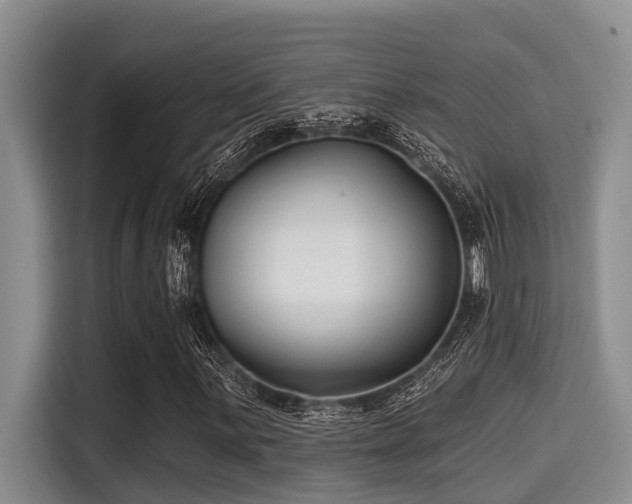 X0000115291059200911090947