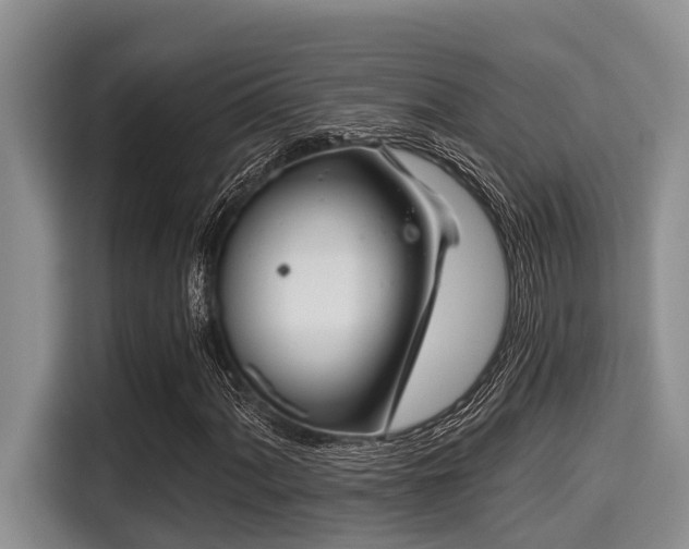X0000115291060200911090947