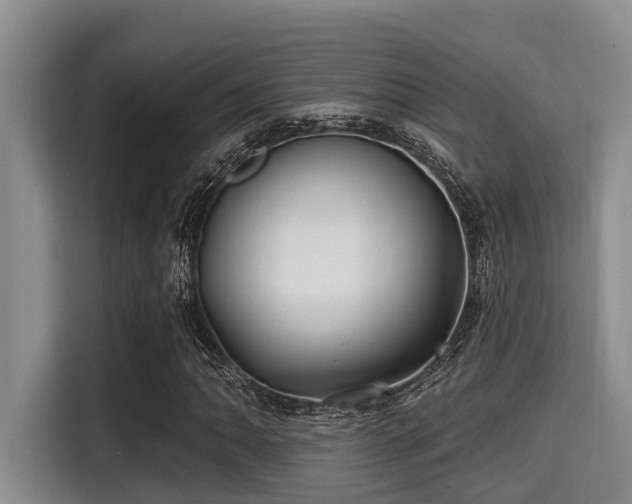 X0000115291062200911090947