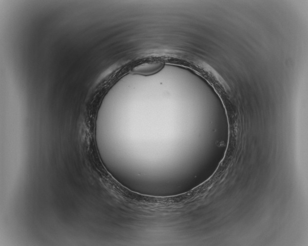 X0000115291064200911090947