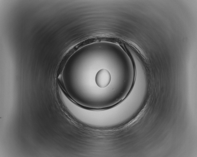 X0000115291065200911090947