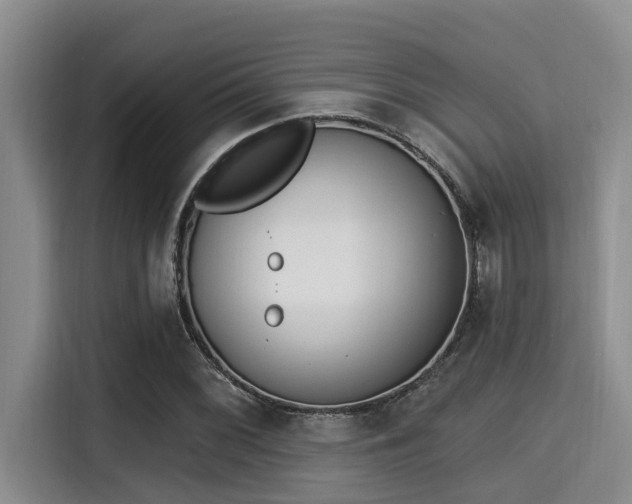 X0000115291068200911090947