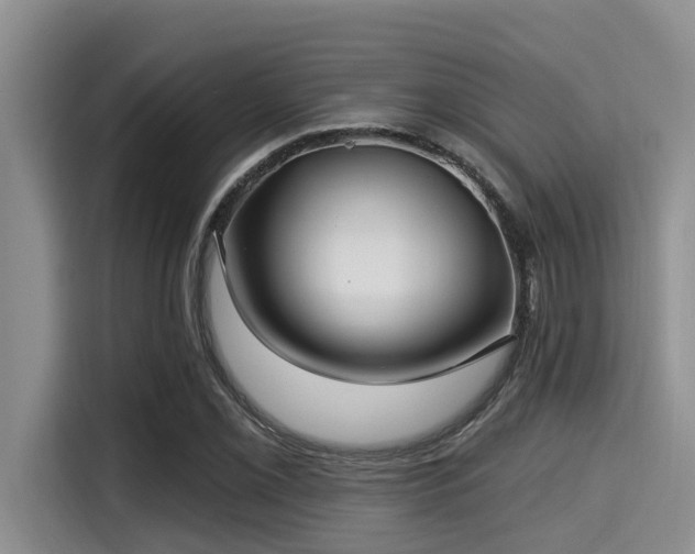 X0000115291069200911090947