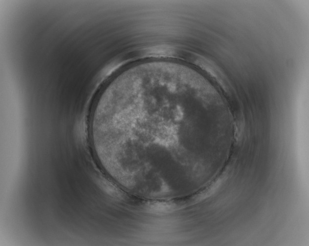 X0000115291074200911090947