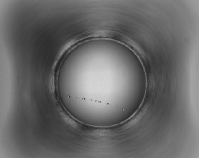 X0000115291075200911090947