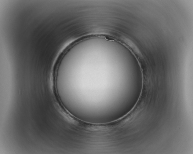 X0000115291076200911090947