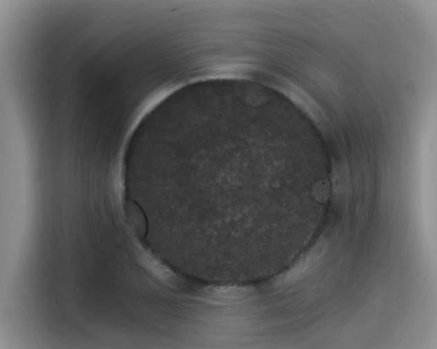 X0000115291077200911090947