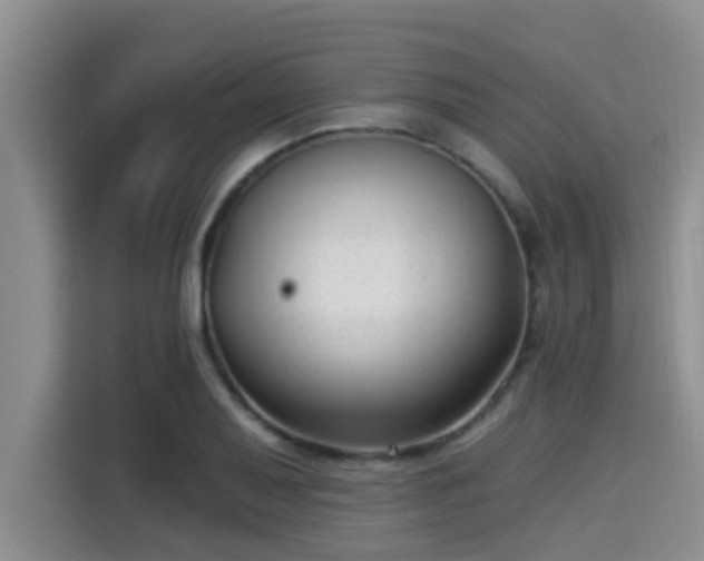 X0000115291079200911090947