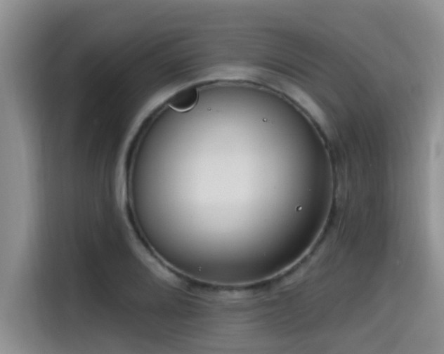 X0000115291080200911090947