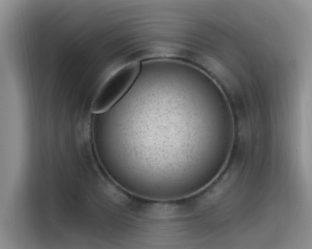 X0000115291081200911090947