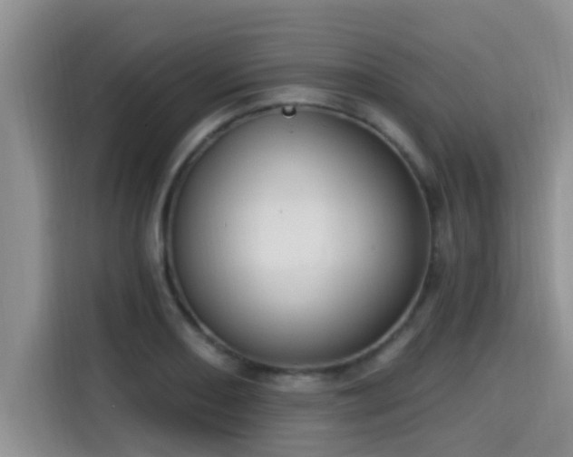 X0000115291082200911090947