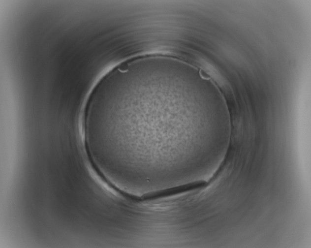 X0000115291084200911090947
