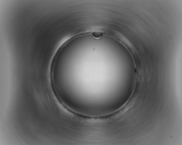 X0000115291087200911090947