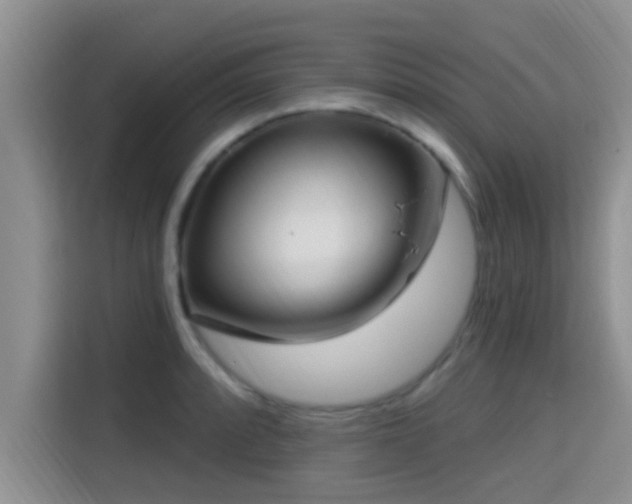 X0000115291088200911090947