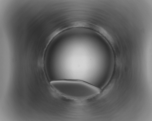 X0000115291089200911090947