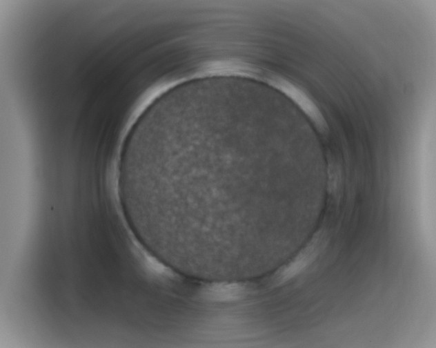 X0000115291094200911090947