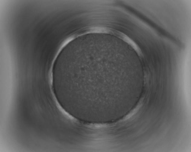 X0000115291095200911090947
