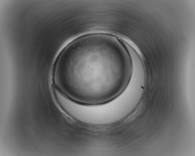 X0000115291101200911090947