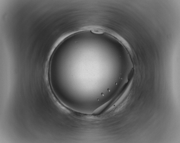 X0000115291102200911090947