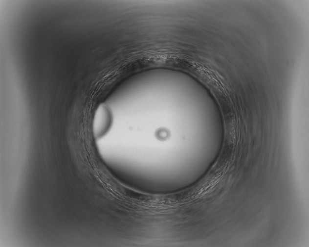 X0000115291105200911090946