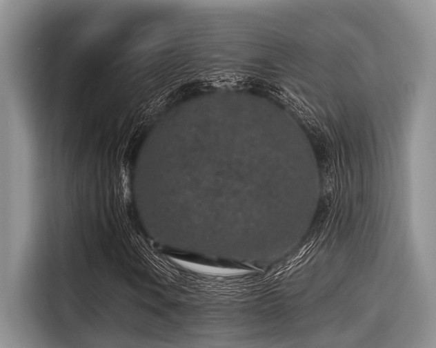 X0000115291106200911090946