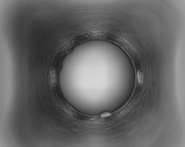 X0000115291107200911090946