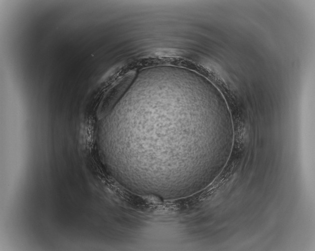 X0000115291110200911090946