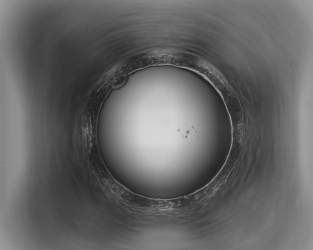 X0000115291111200911090946
