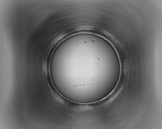 X0000115291113200911090946