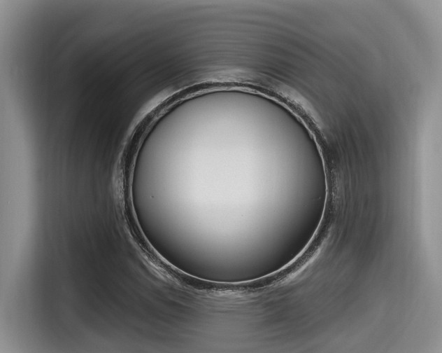 X0000115291114200911090946