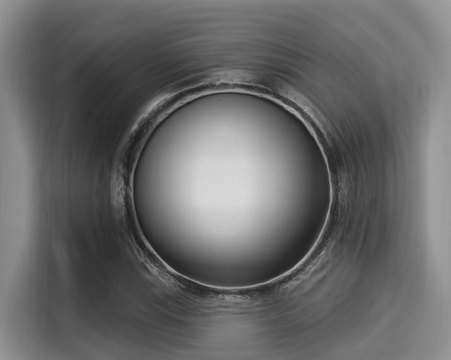 X0000115291115200911090946