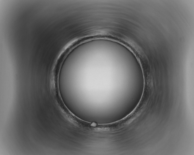 X0000115291118200911090946