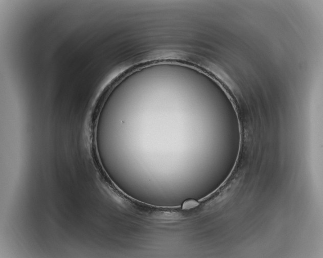 X0000115291119200911090946