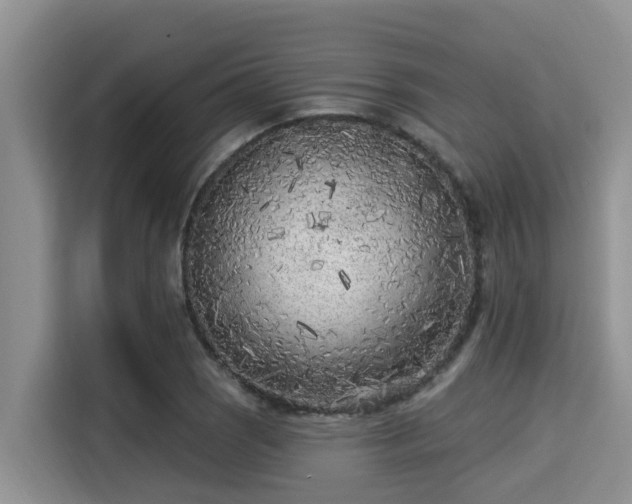 X0000115291121200911090946
