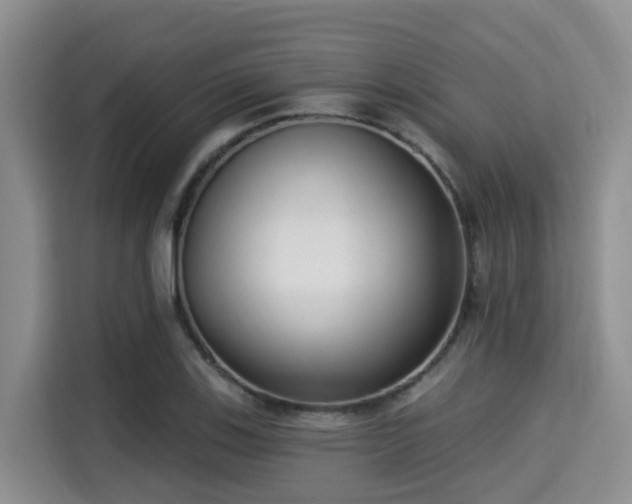 X0000115291123200911090946