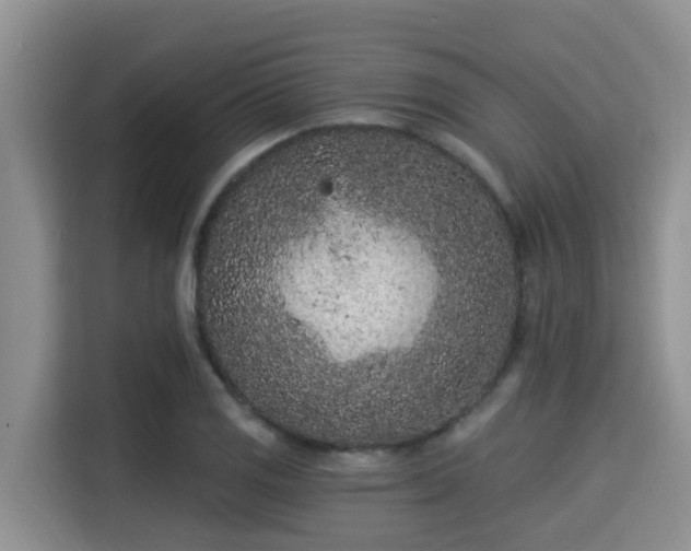 X0000115291125200911090946