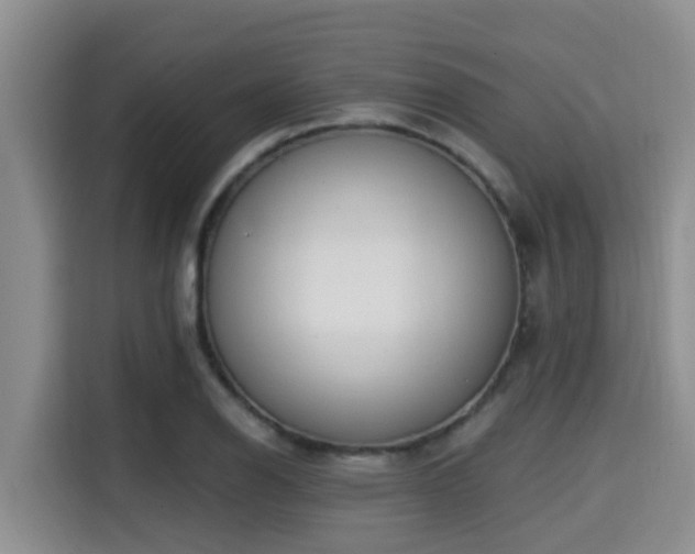 X0000115291126200911090946