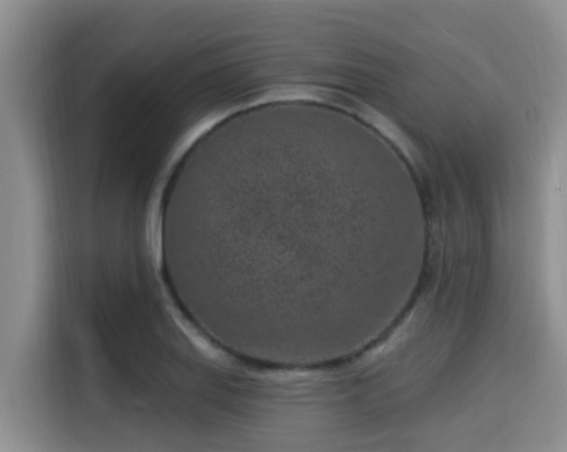 X0000115291127200911090946