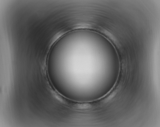 X0000115291129200911090946