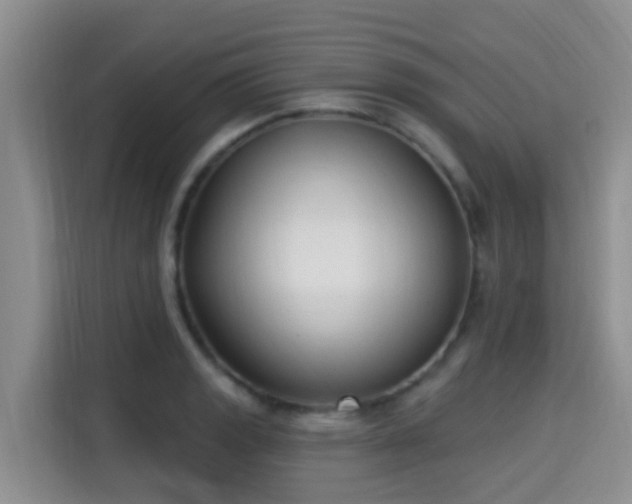 X0000115291133200911090946