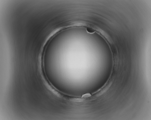 X0000115291134200911090946