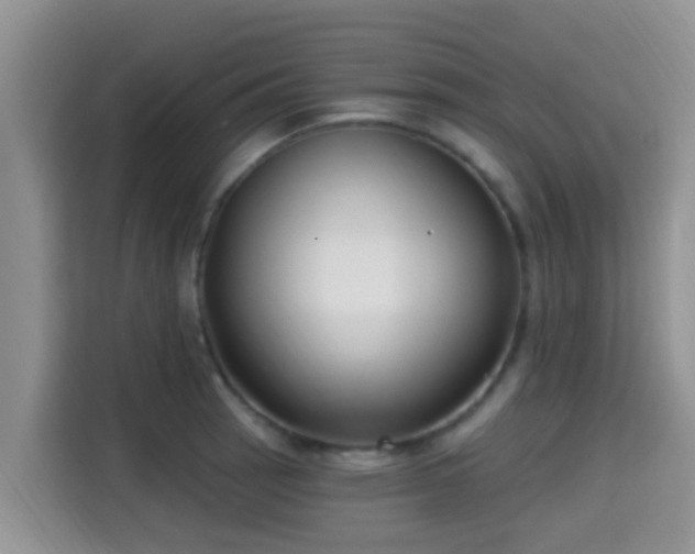 X0000115291137200911090947