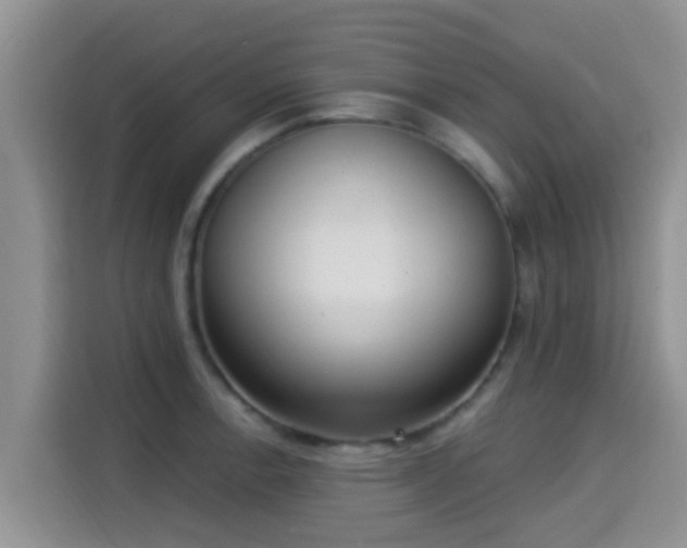 X0000115291138200911090947