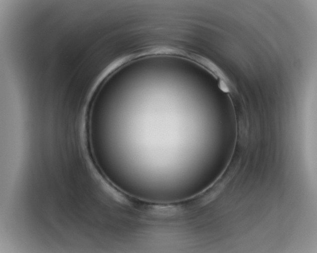 X0000115291142200911090947