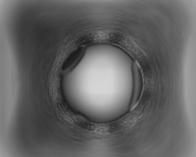 X0000115291153200911090946