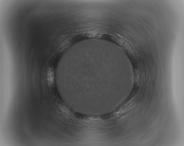 X0000115291154200911090946
